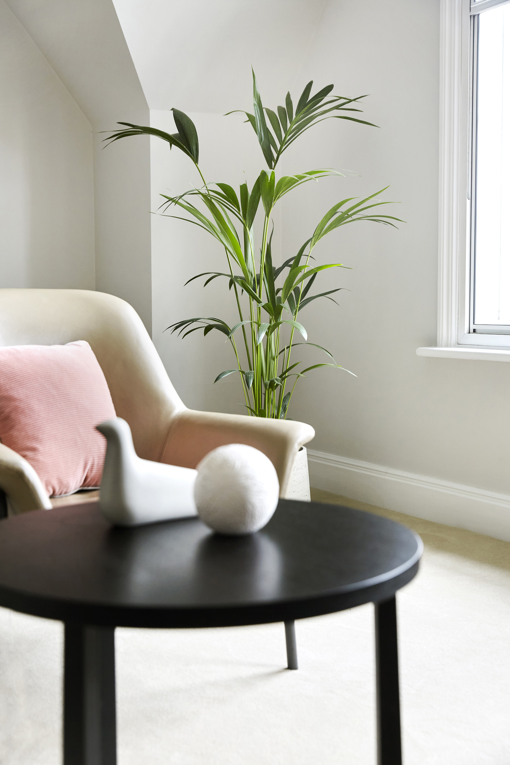 interiors
